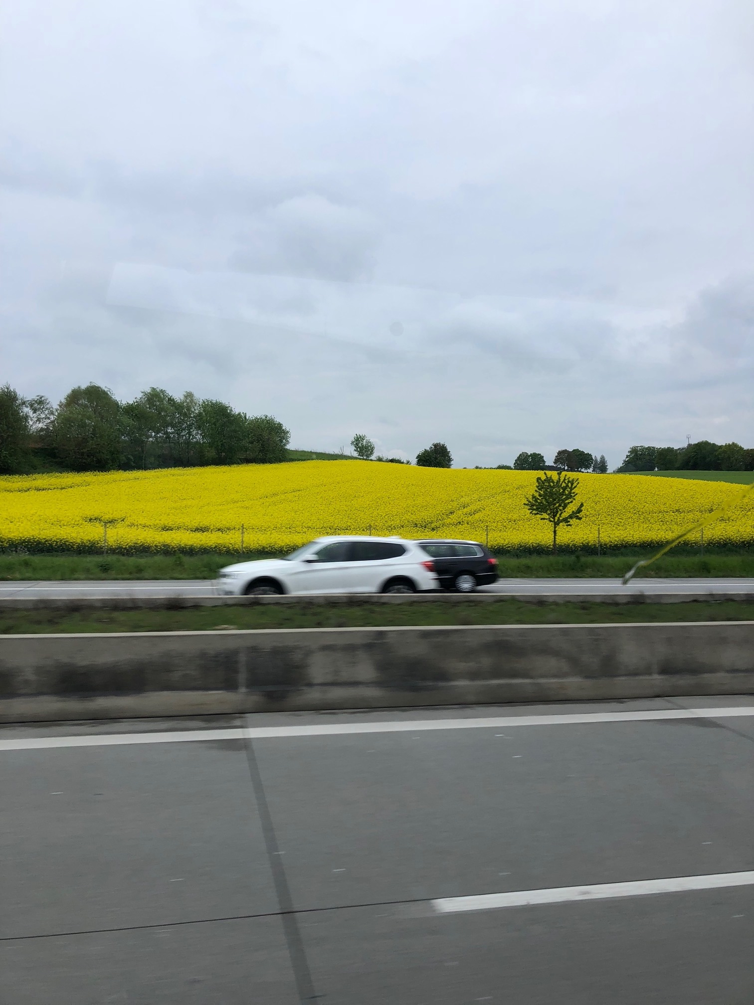 Dachau. Week in Review (Day 8)