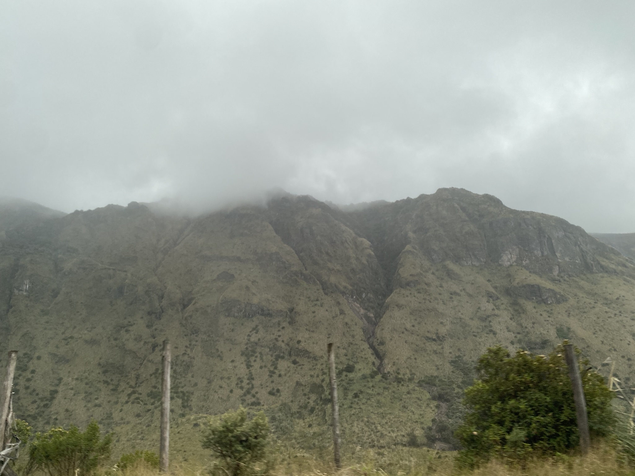 Hot springs, Hummingbirds, and Bugs Oh My!