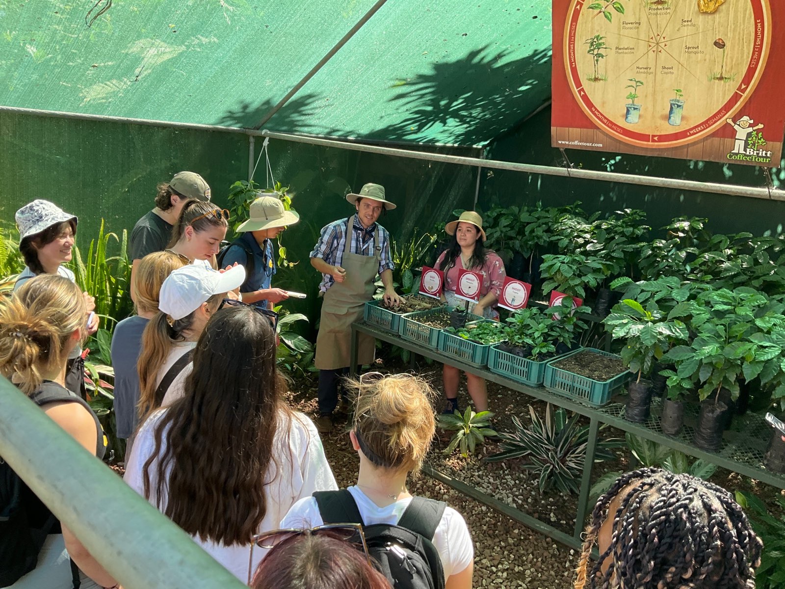 Beautiful Café Britt