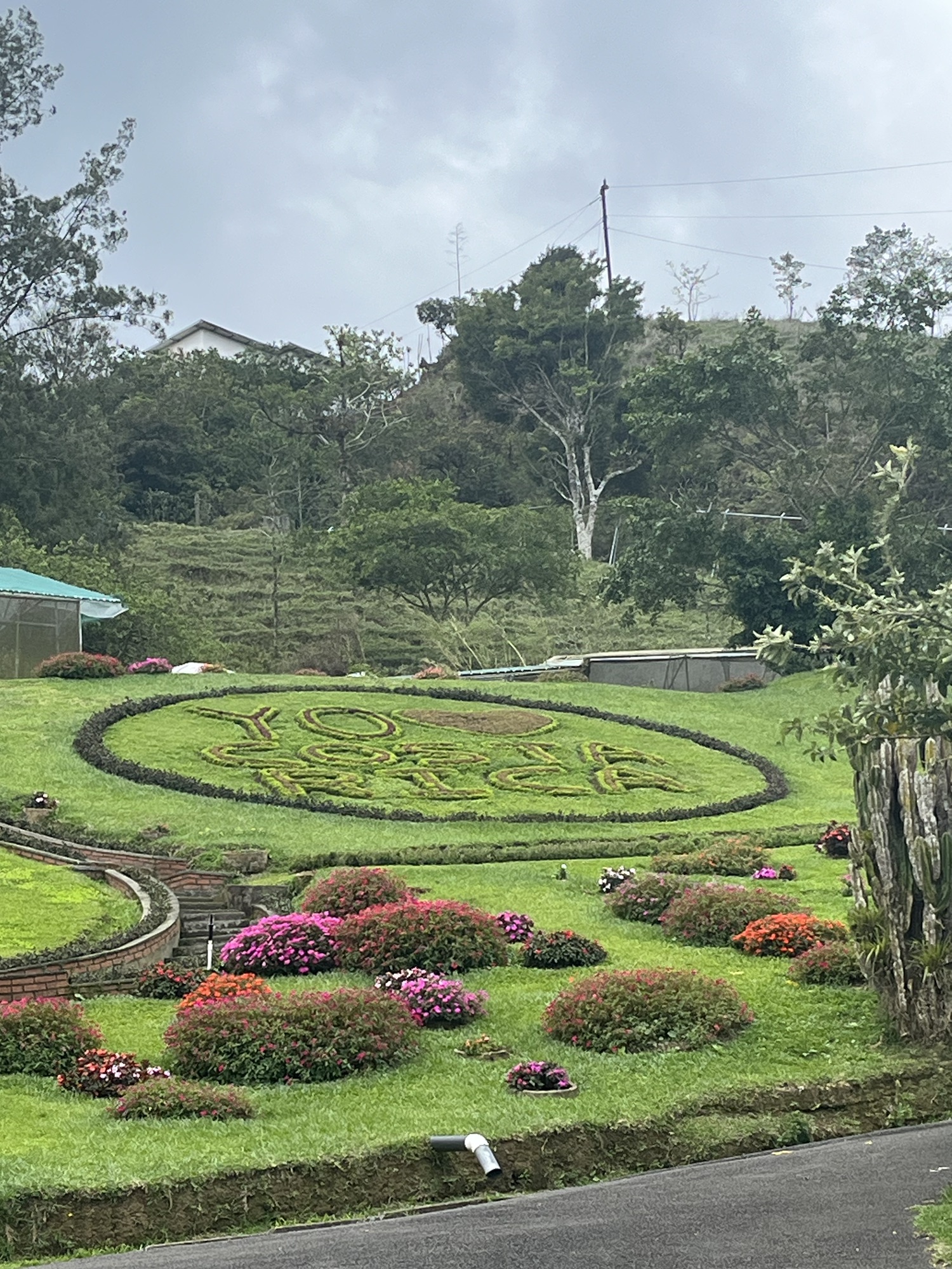 Heredia—> Monteverde