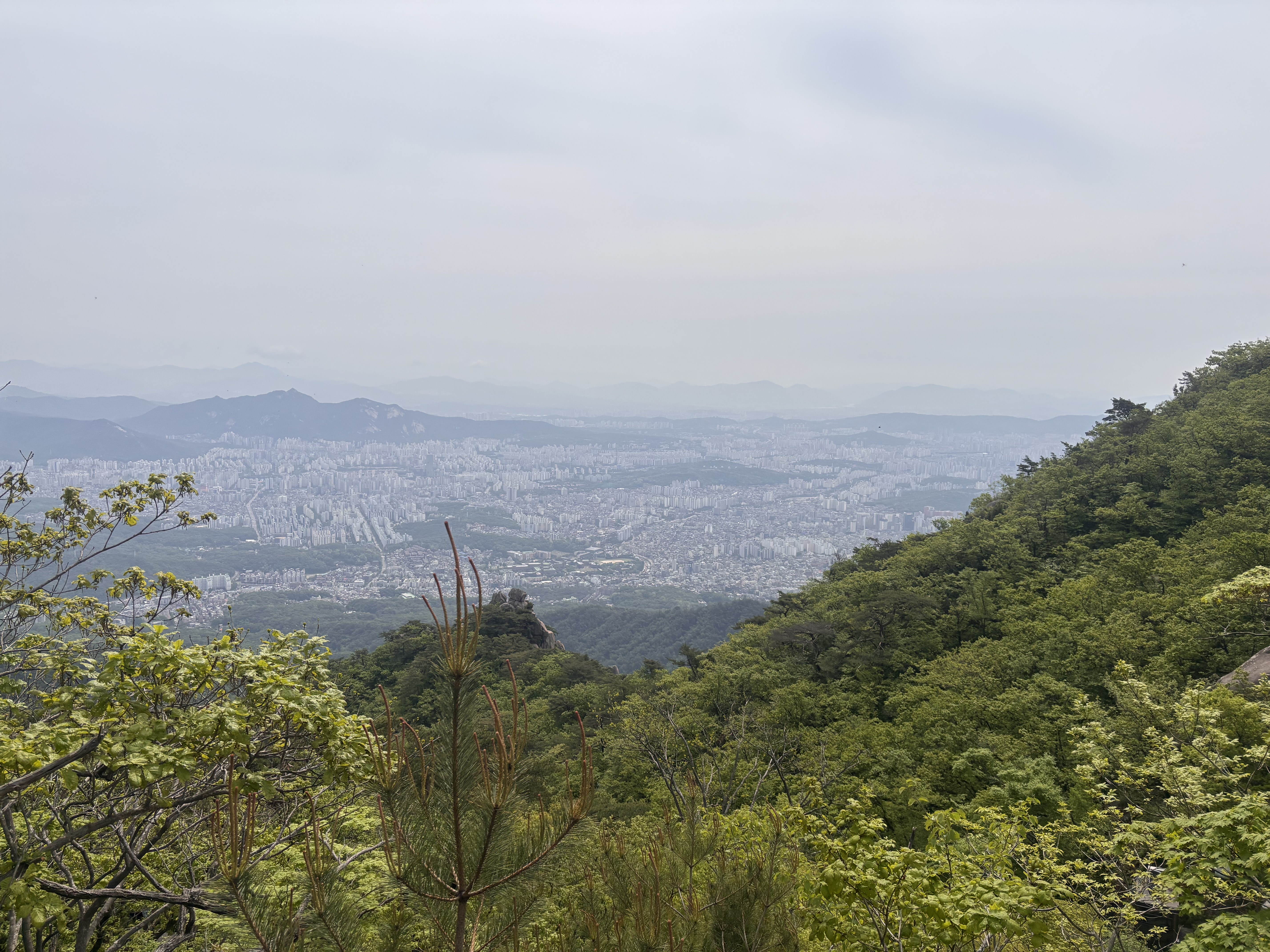 Day 8 (Mount Bukhansan, Cooking Bibimbap)
