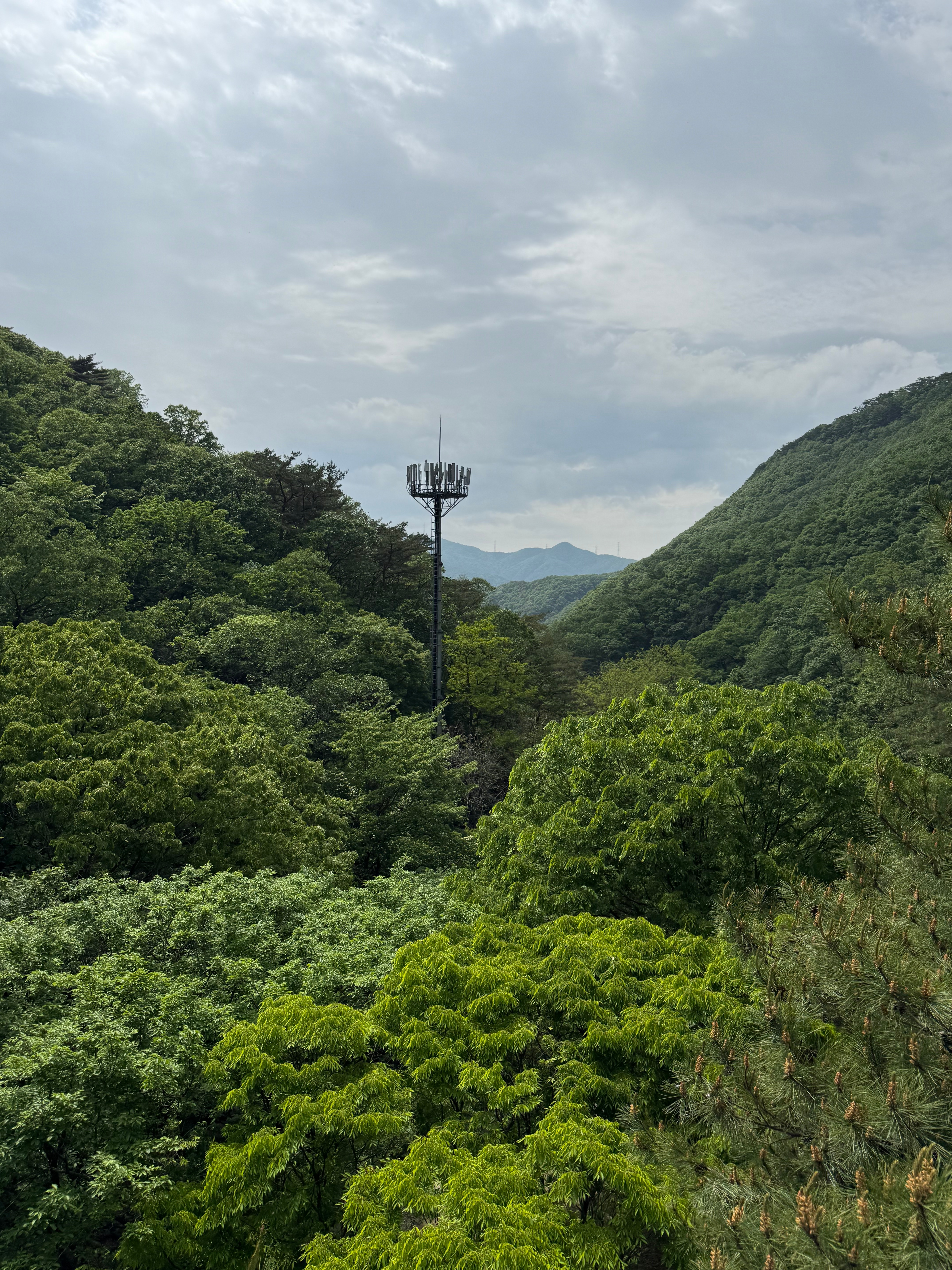 Day 9: Camp Casey and Hike