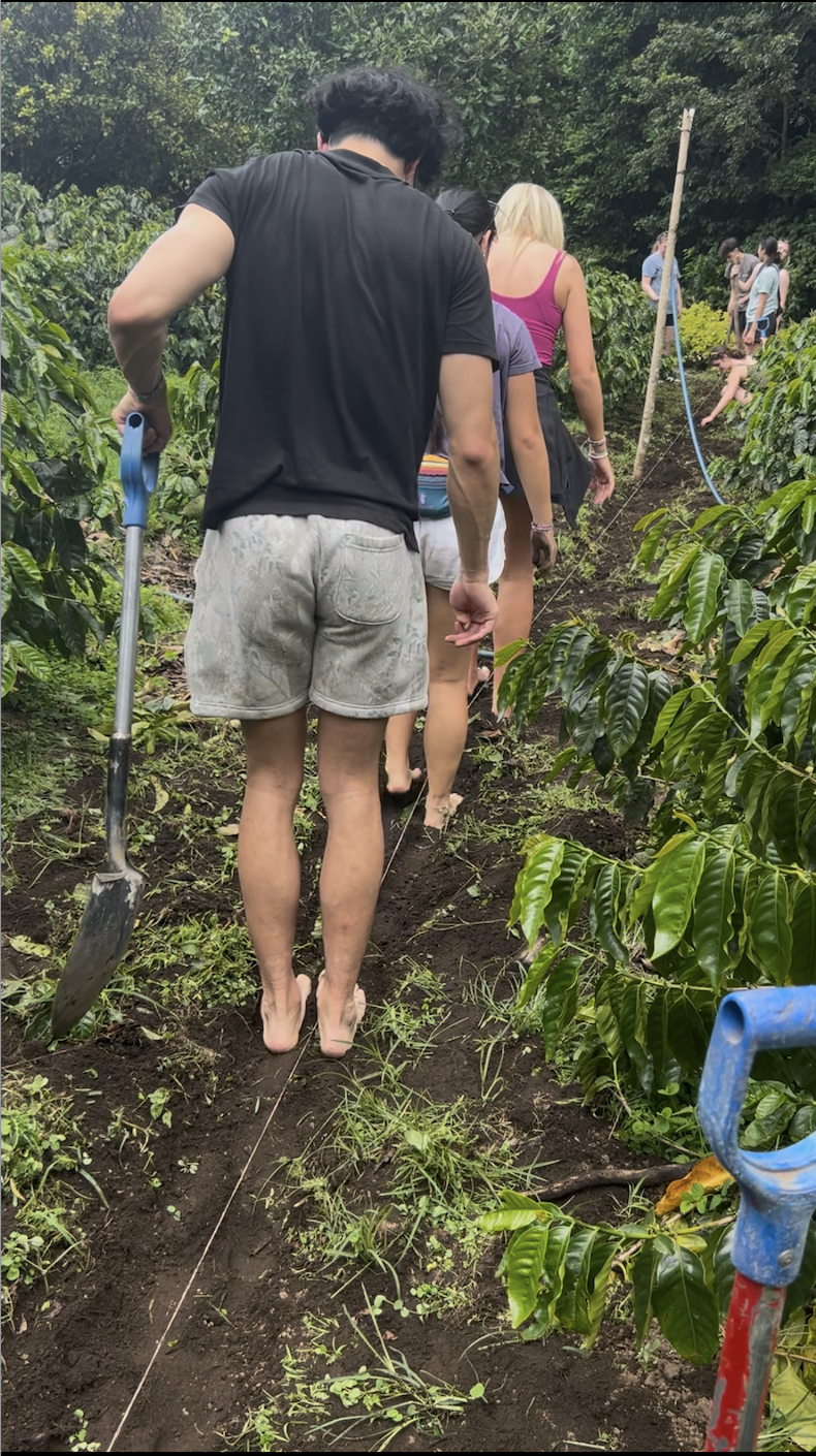 An A-maíz-ing Time at Life Monteverde