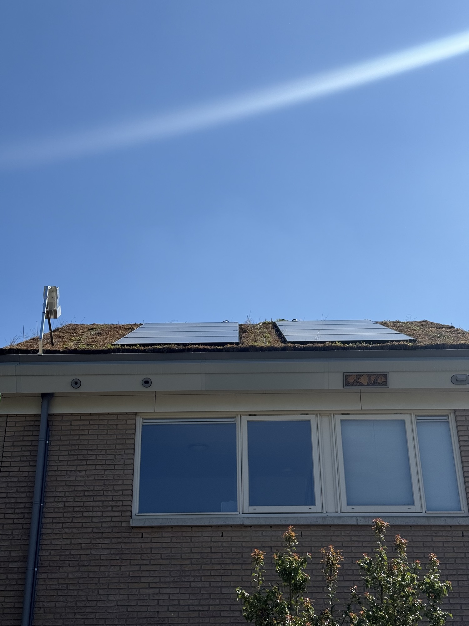 Going Green and Staying Keen: How TU Delft’s Green Village is Saving the Planet (One Brick at a Time)