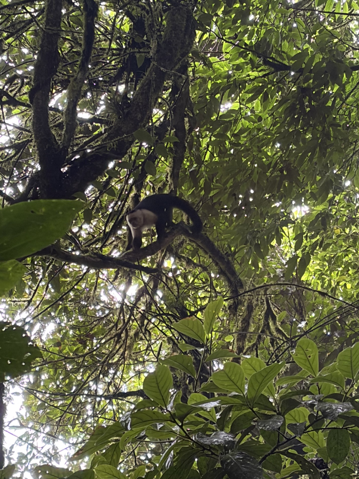 Day 10 – Monteverde: A Shared Responsibility