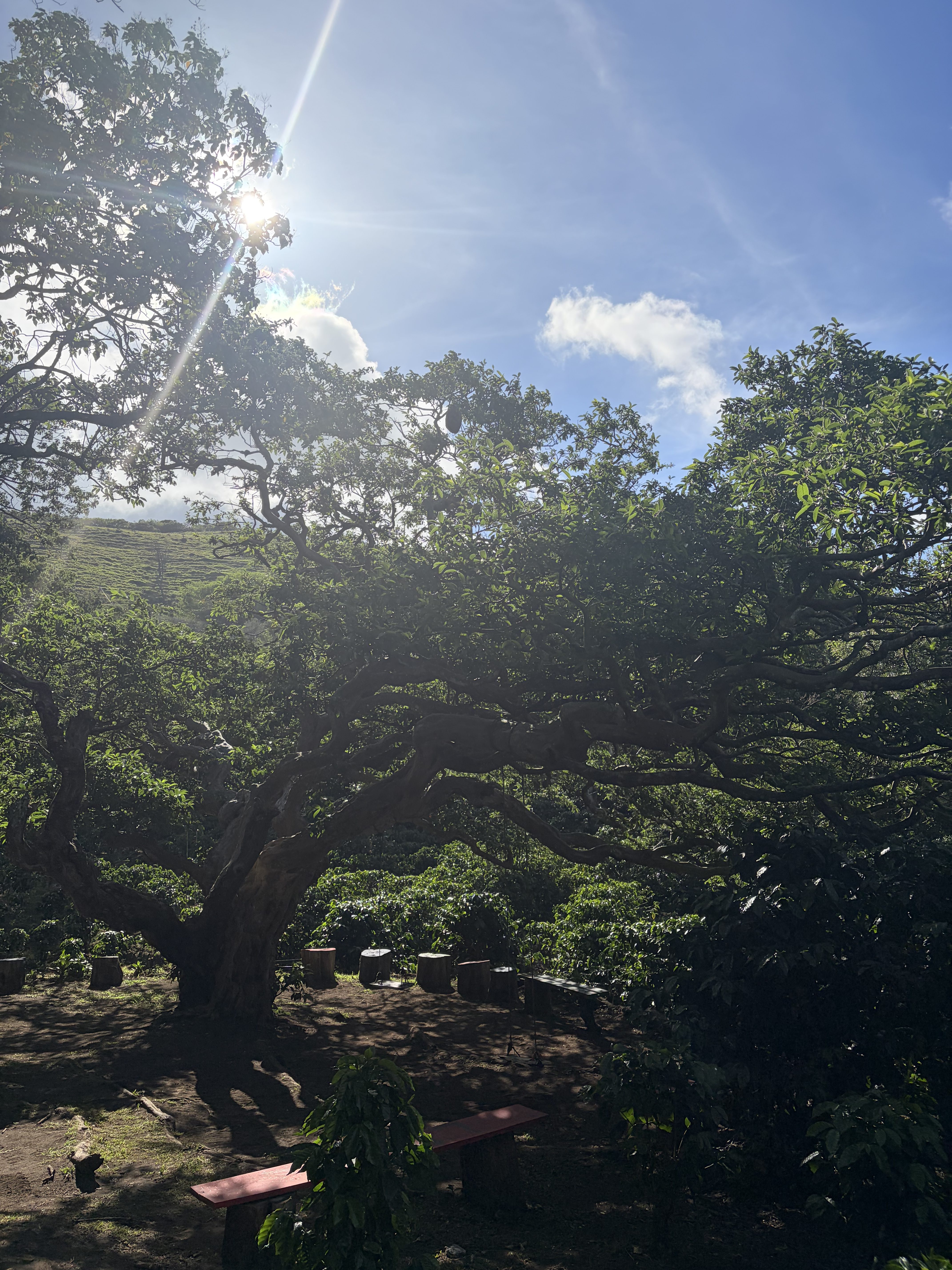 Day 9 – Sustainable Futures
