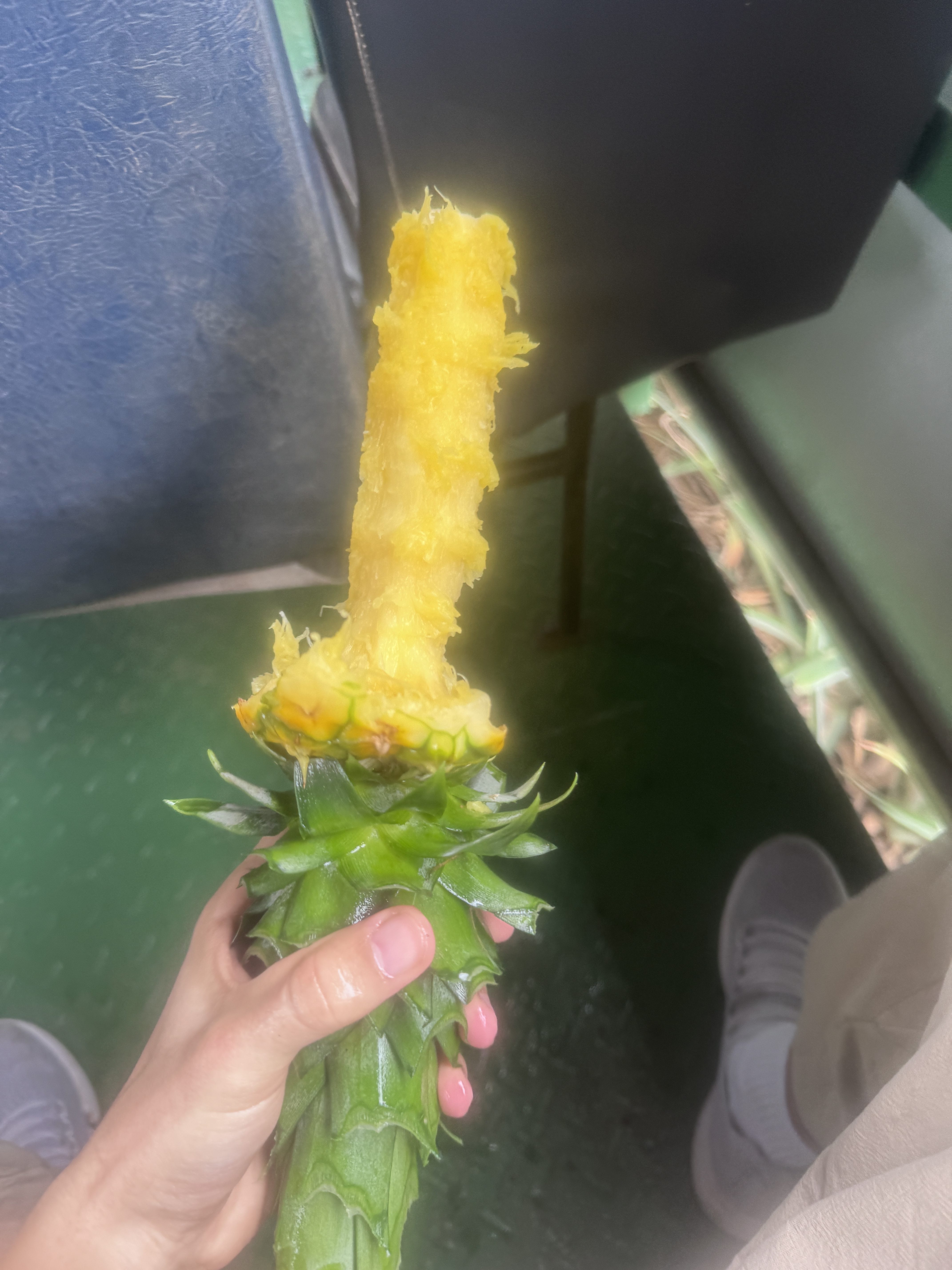 May 16 – A Pineapple a Day