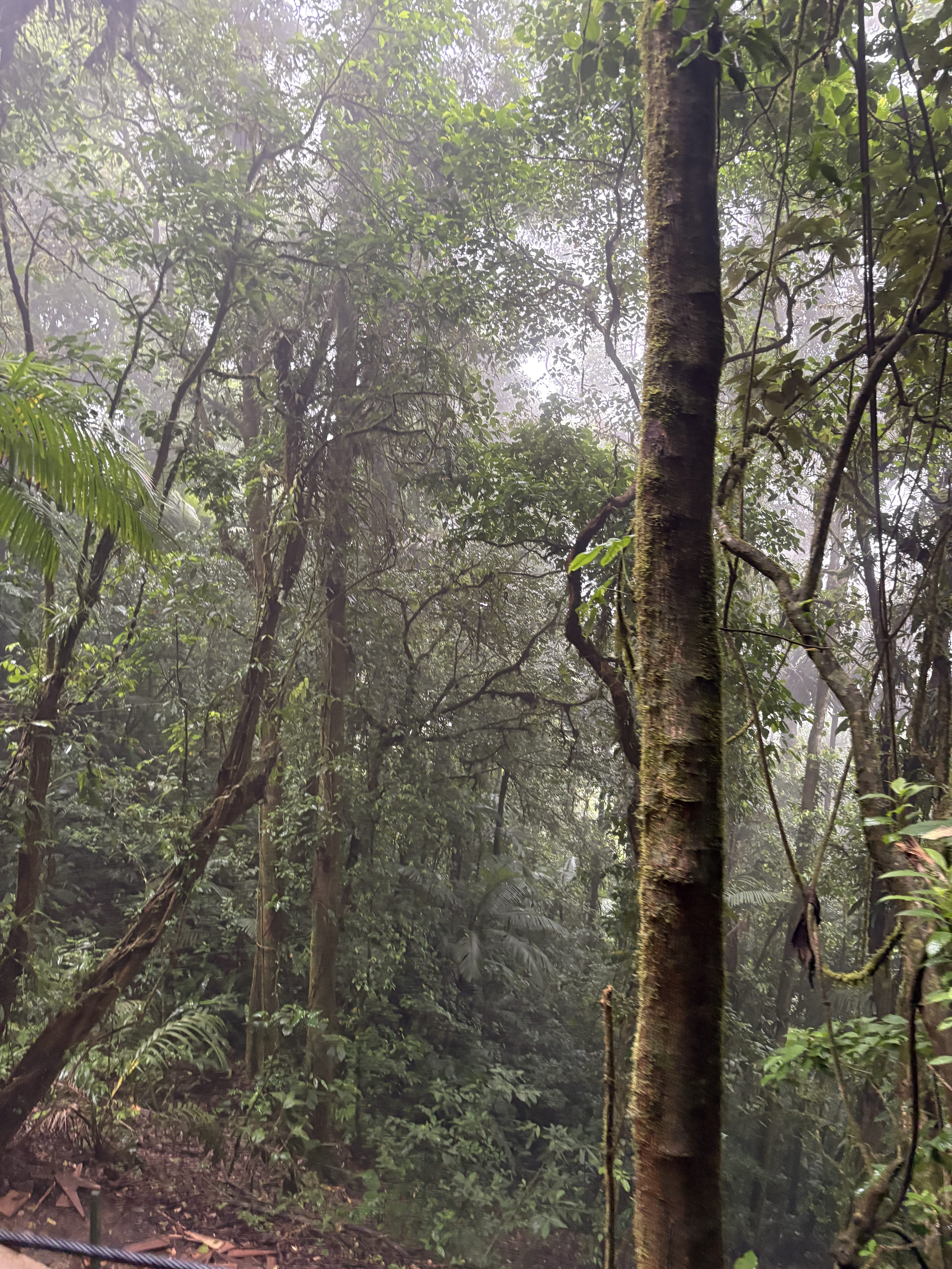 Wrapping up our La Fortuna Adventures