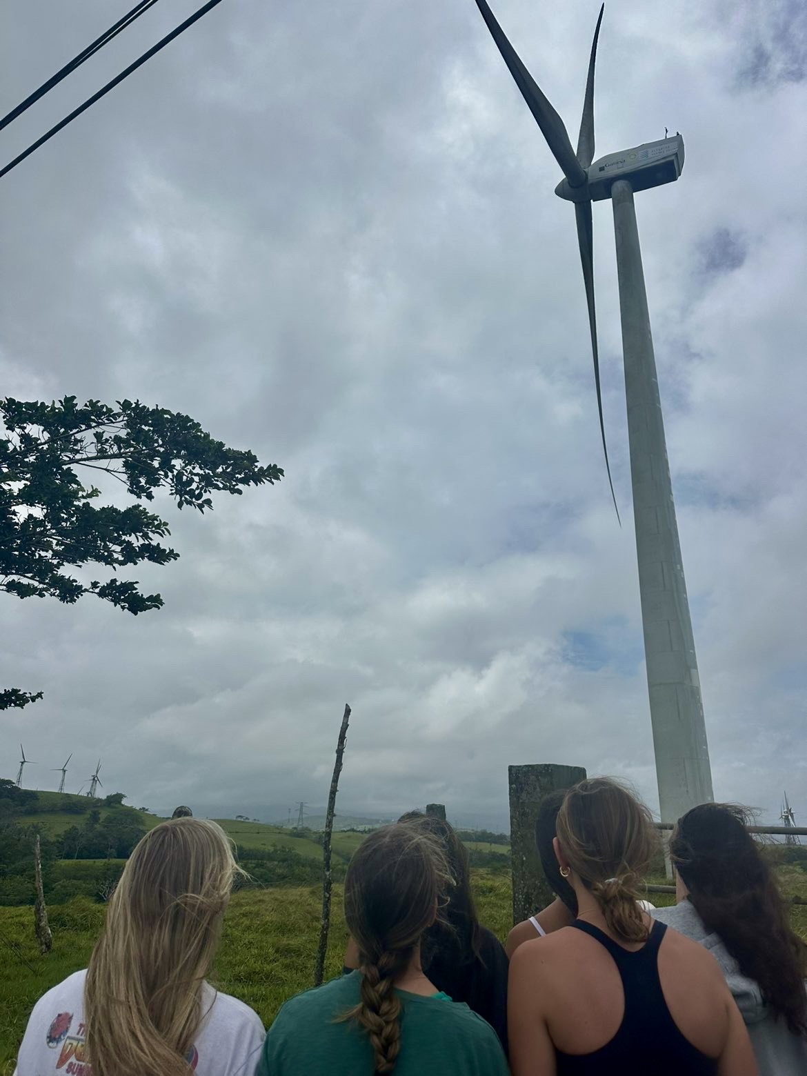 Blown Away by Sustainability