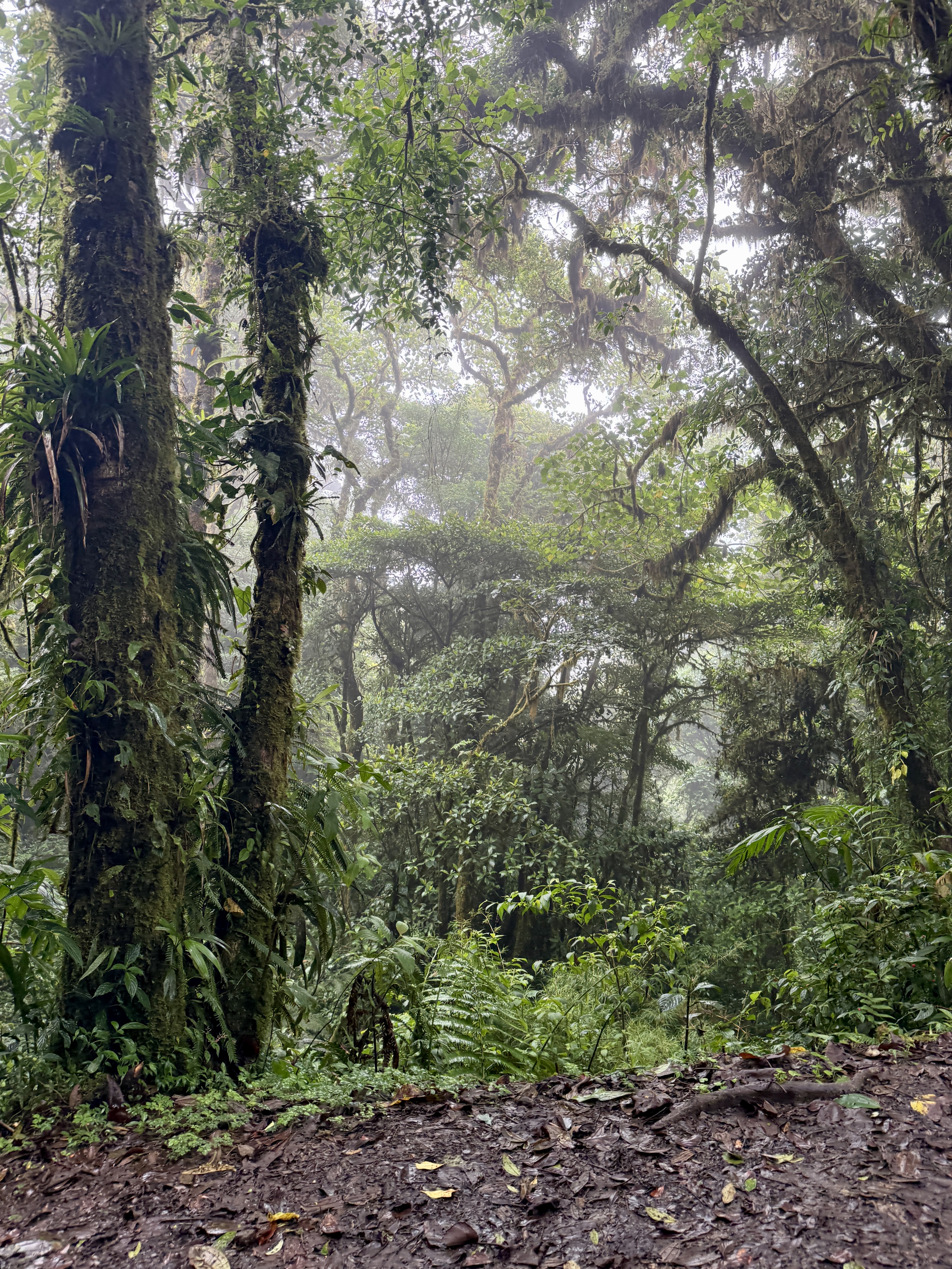 Protecting Nature for the Future